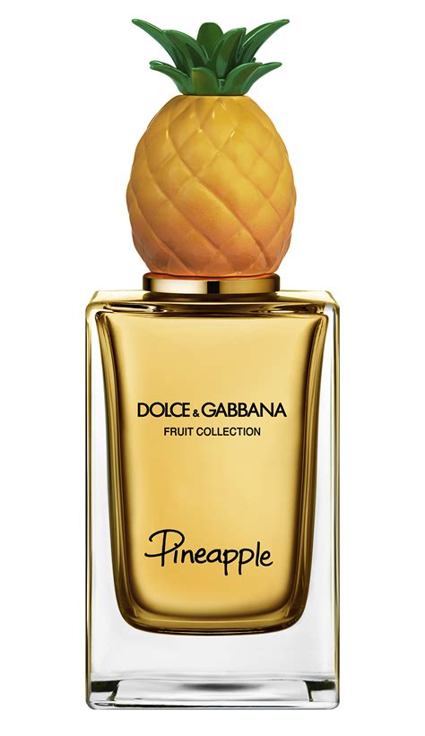 perfumes dolce & gabbana|dolce gabbana unisex perfume.